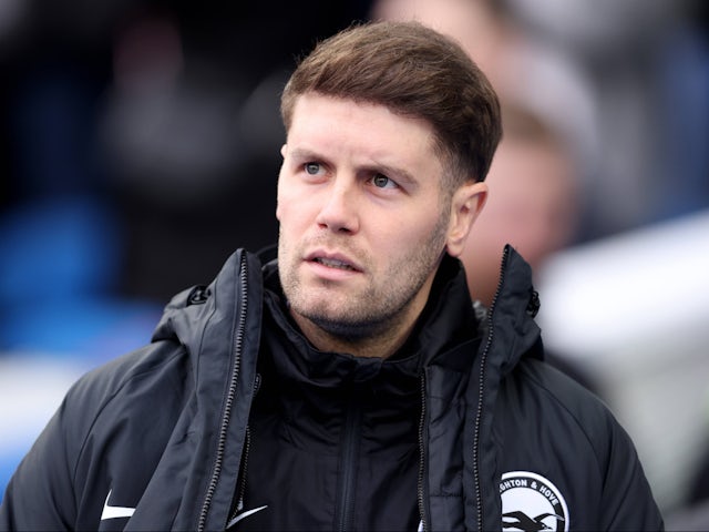 Fabian Hurzeler de Brighton & Hove Albion illustré le 15 décembre 2024