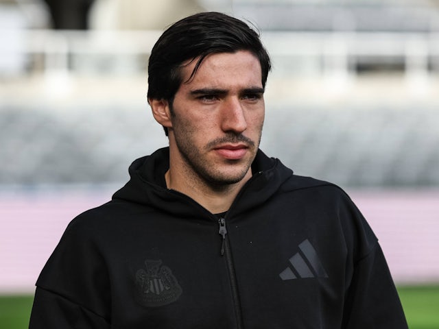 Sandro Tonali de Newcastle United, illustré le 19 octobre 2024 Sandro Tonali de Newcastle United, illustré le 19 octobre 2024