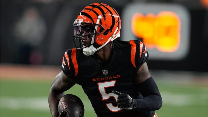 Tee Higgins Bengals pic