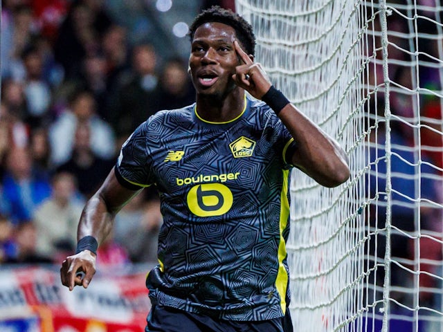 L'attaquant de Lille Jonathan David célèbre le score le 23 octobre 2024
