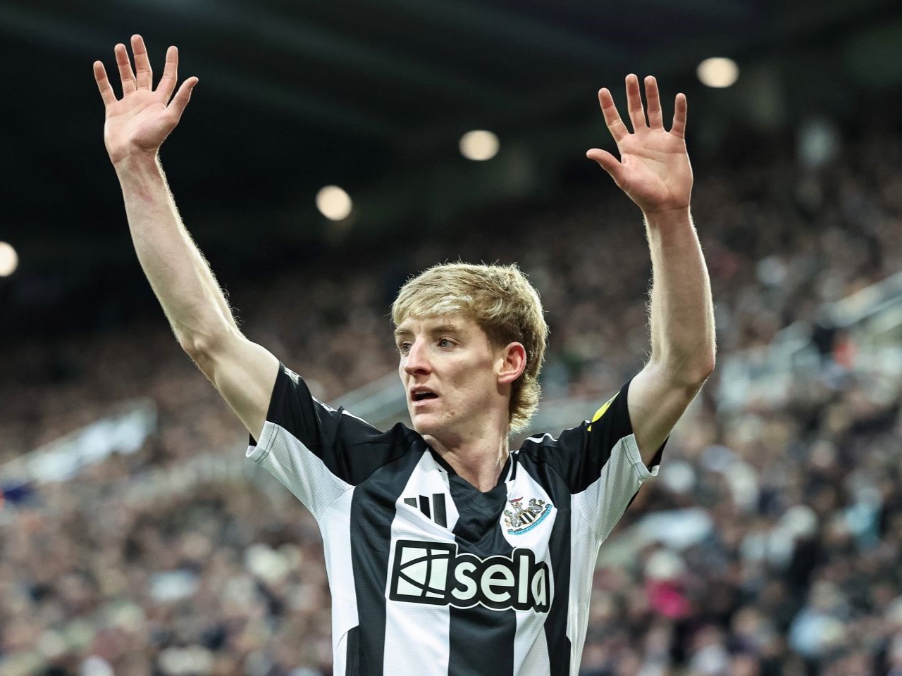 Gordon benched? How Newcastle could line up against Palace on Wednesday