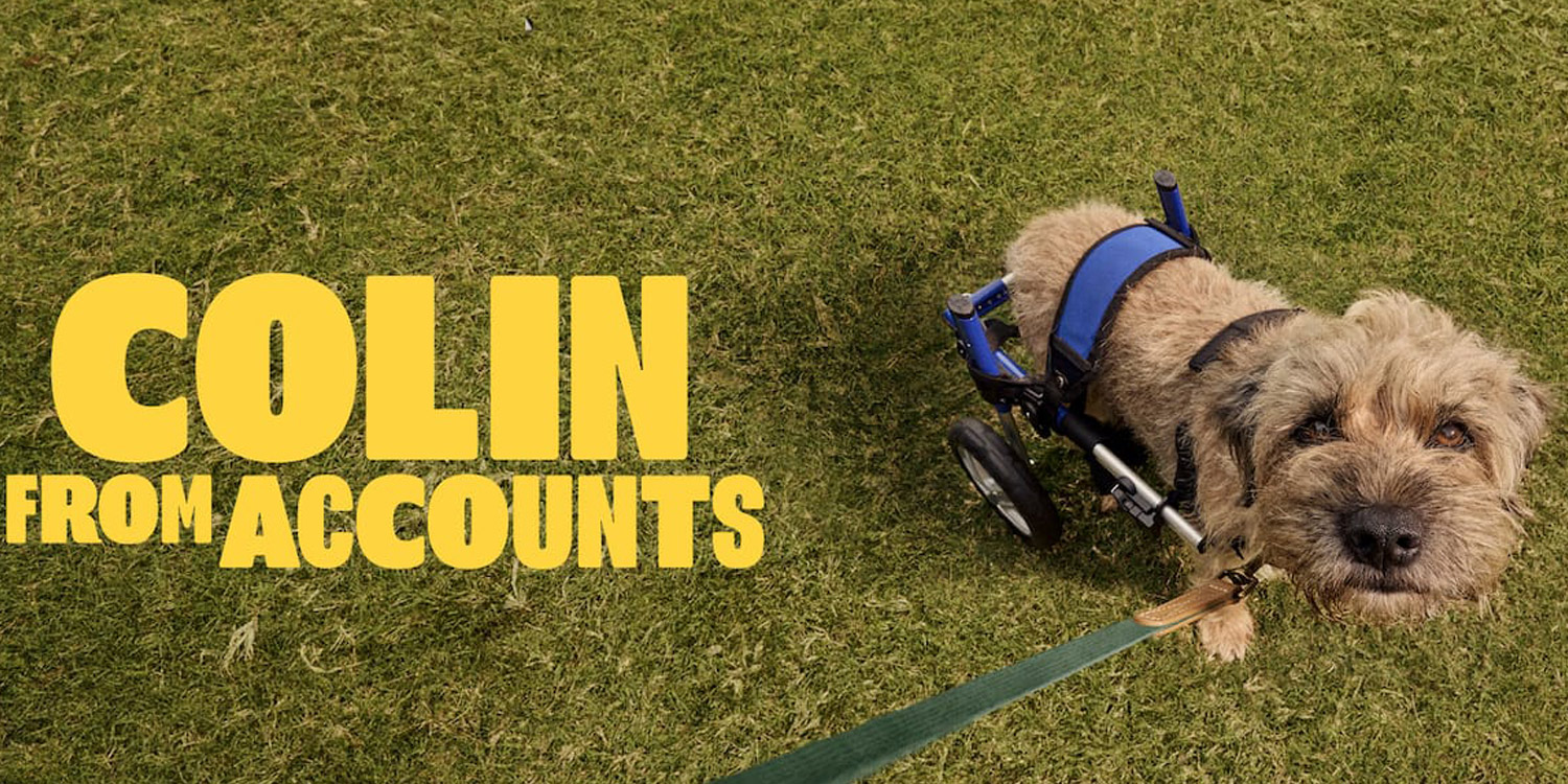 Réflexions du dimanche - petits chiens et musique