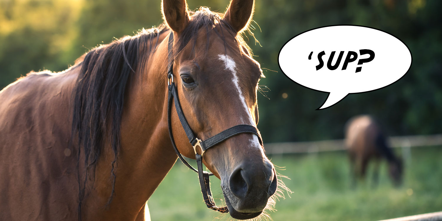 Une explosion du passé
