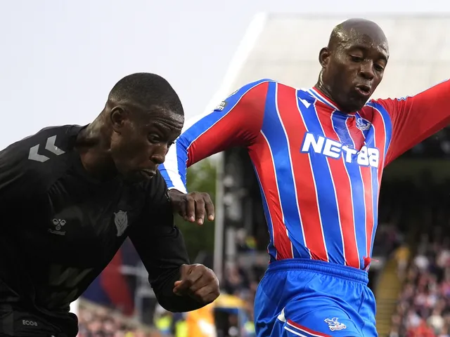 Crystal Palace 0-0 Sunderland: Faits saillants, homme du match, statistiques en tant que Men d'Oliver Glasner Rue manque au tirage au sort de Premier League