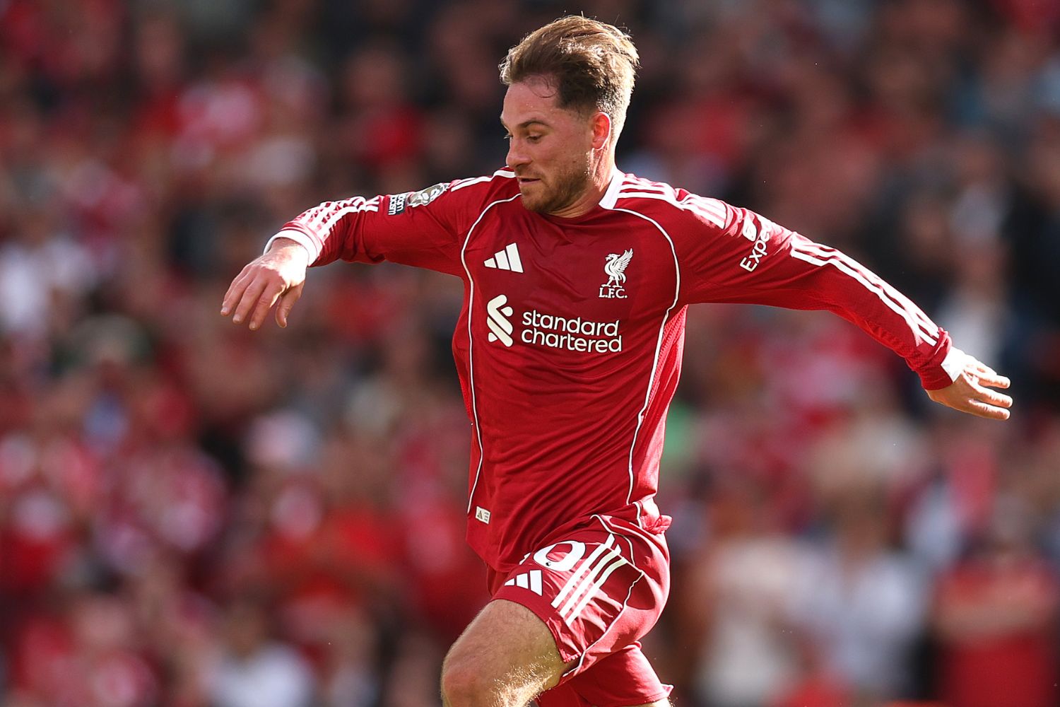 Alexis Mac Allister en action pour Liverpool