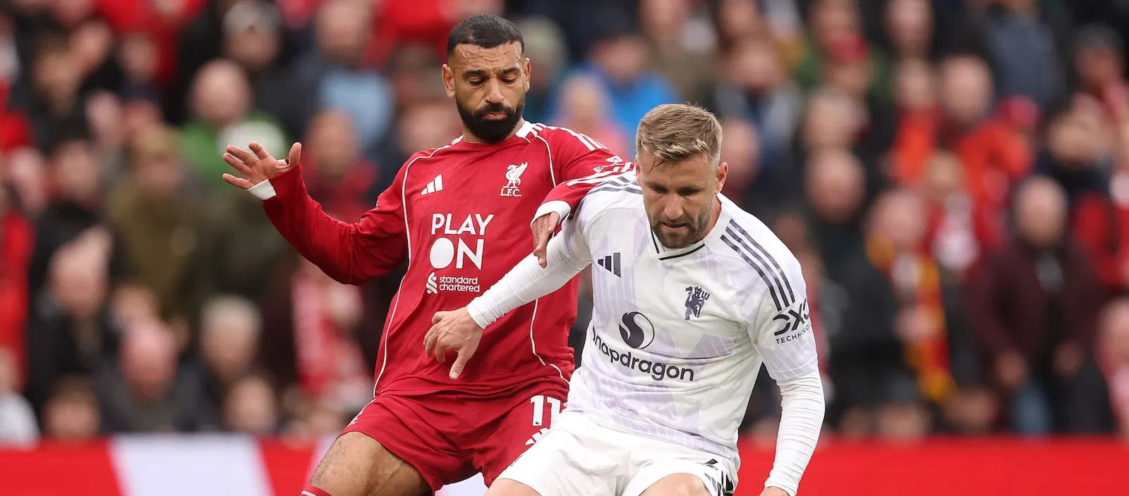 Picture of Luke Shaw