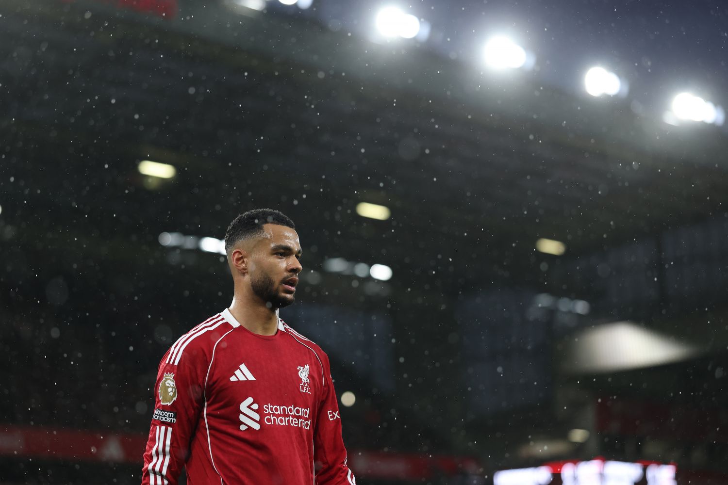 Cody Gakpo de Liverpool à Anfield