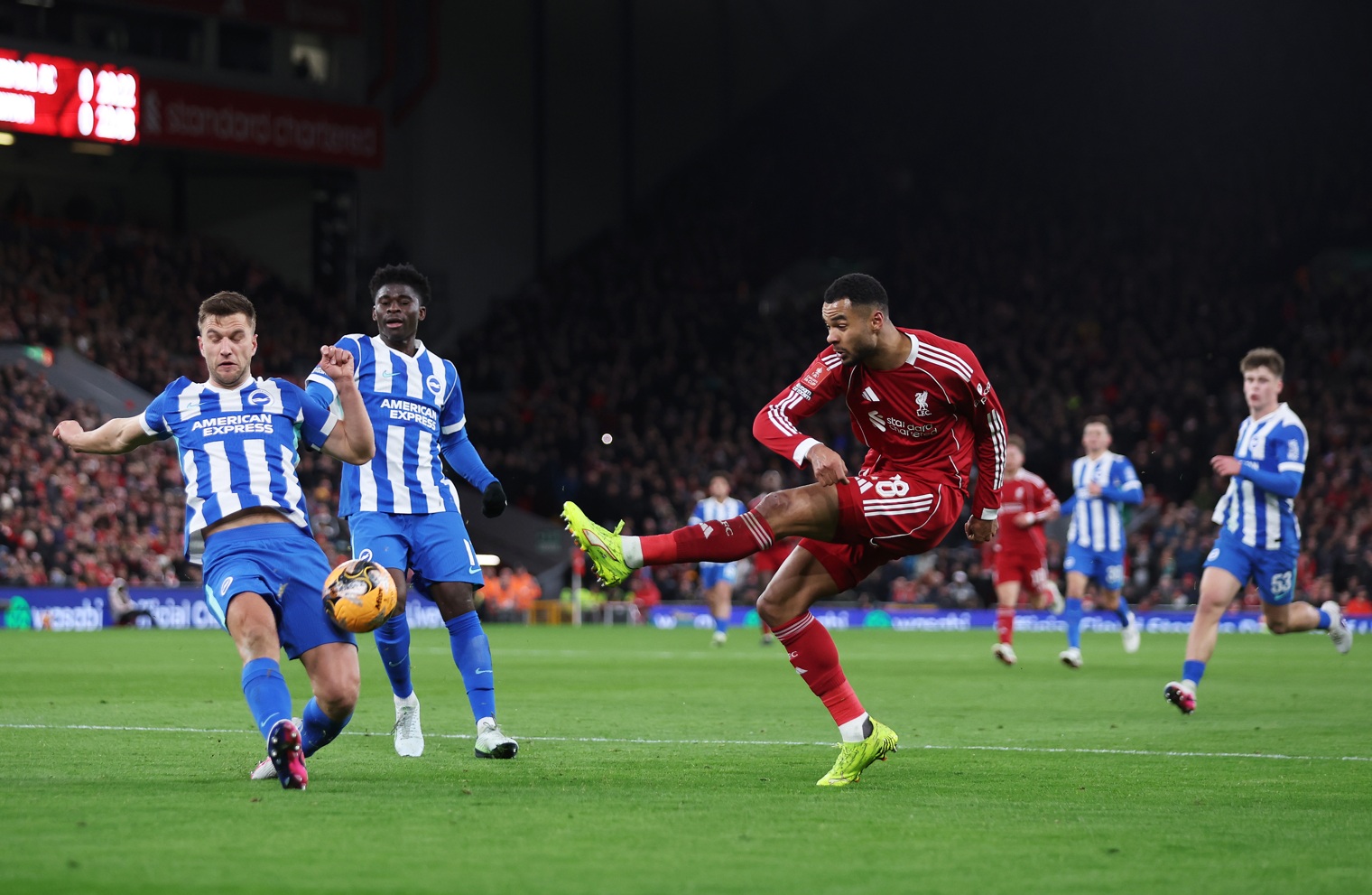 Cody Gakpo a été un titulaire quasi constant pour Liverpool cette saison