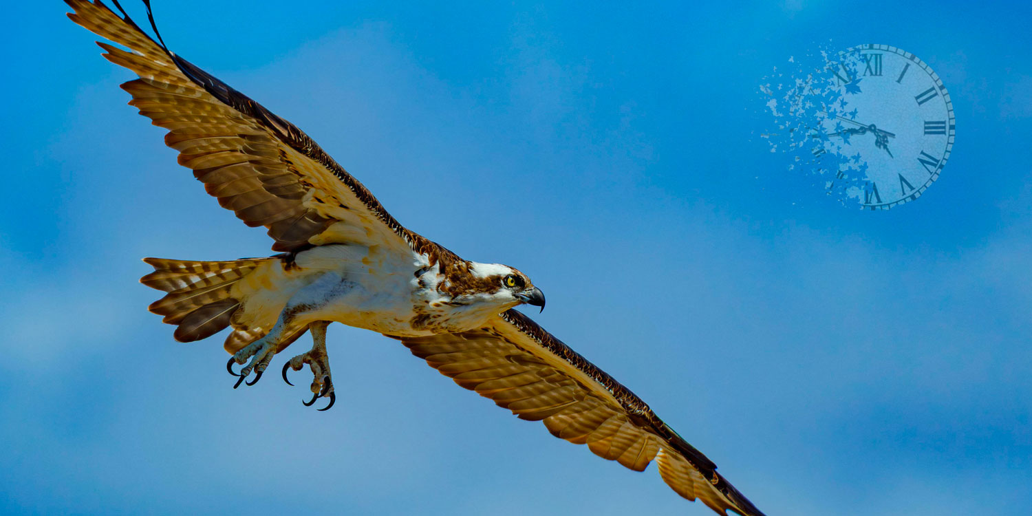 Il parle de choses insensées