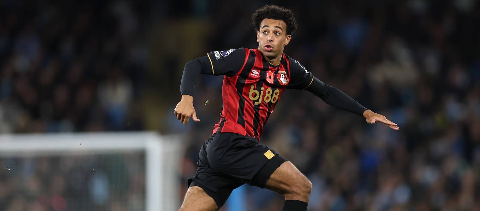 Picture of Tyler Adams