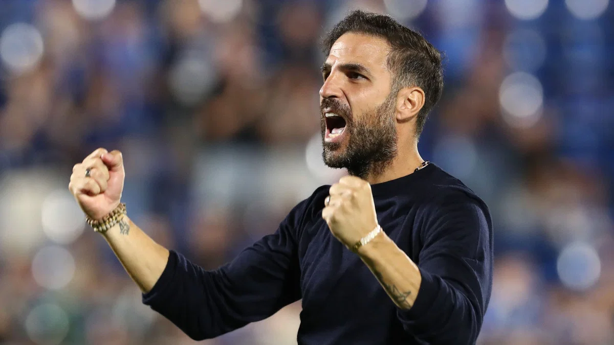 Picture of Cesc Fabregas